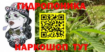 экстази Камышлов
