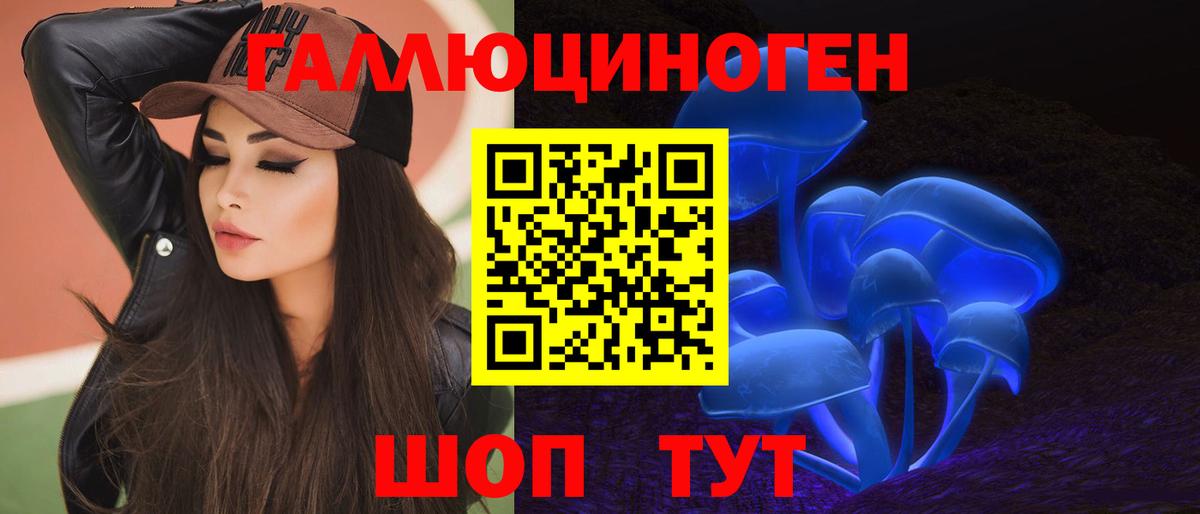 Галлюциногенные грибы Psilocybe Комсомольск-на-Амуре